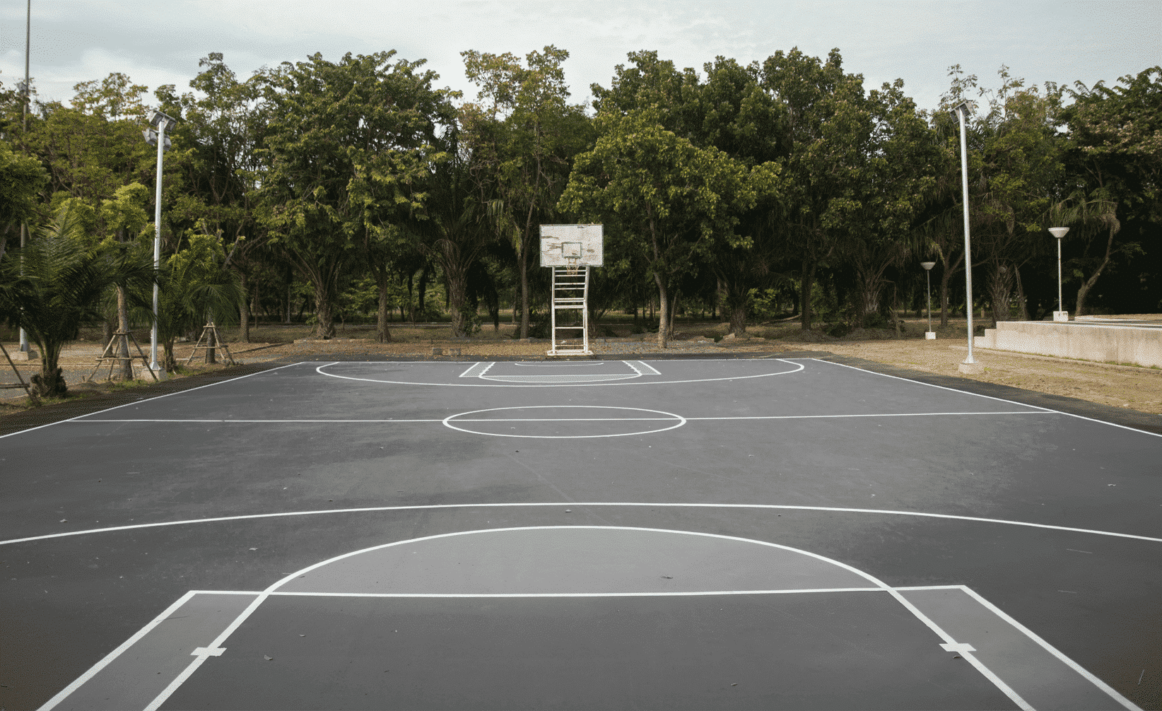 Simulateur de couleurs terrain Basketball